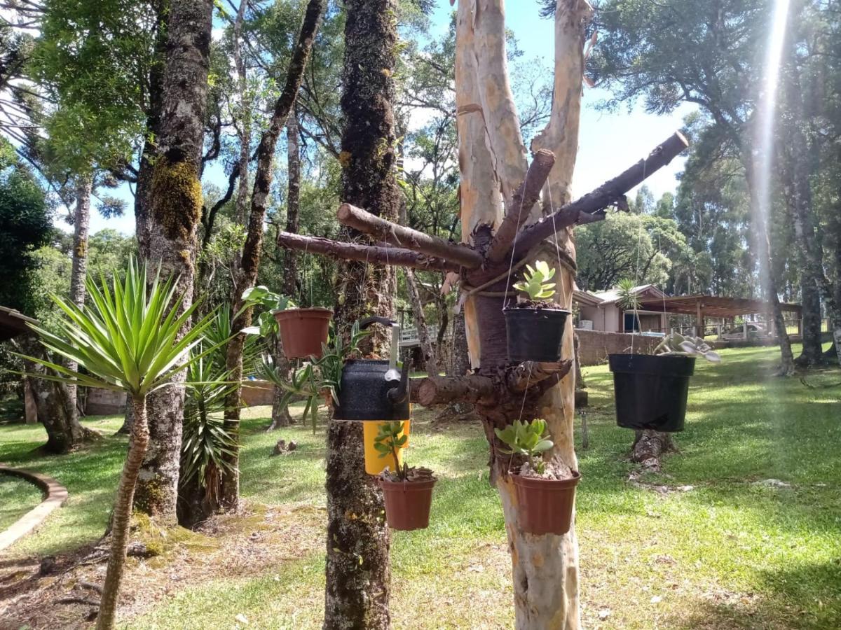 Cabana Romance - Recanto Da Natureza Canela Buitenkant foto